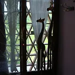 Sweet Dreams Bed & Breakfast Asolo
