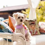 Sweet Dreams Bed & Breakfast 4*